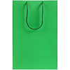 Пакет бумажный Porta M, зеленый с нанесением логотипа