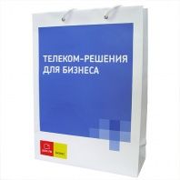 Бумажные пакеты с логотипом "Дом.ru"