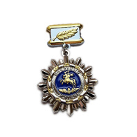 Медаль на колодке Почетный Житель "МО Оржицы"