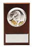 Плакетка малая «Тигр на монетах» с возможностью персонализации с нанесением логотипа