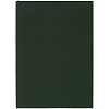 Ежедневник Flat Light, недатированный, зеленый с нанесением логотипа