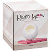 Беспроводная лампа-колонка Right Meow, розовая с нанесением логотипа