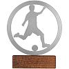Награда Acme, футбол с нанесением логотипа