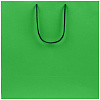 Пакет бумажный Porta, большой, зеленый с нанесением логотипа