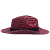 Шляпа Daydream, красная с черной лентой с нанесением логотипа