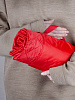 Плед для пикника Comfy, красный с нанесением логотипа