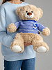 Плюшевый мишка Teddy в вязаном свитере на заказ, большой с нанесением логотипа