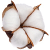 Цветок хлопка Cotton, белый с нанесением логотипа