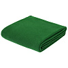 Флисовый плед Warm&Peace XL, зеленый с нанесением логотипа